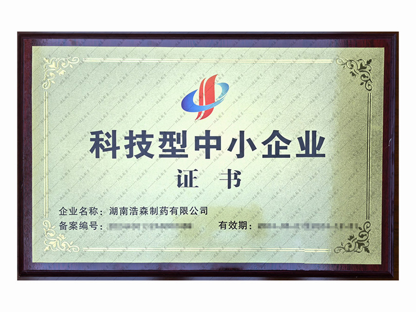 科技型中小企业